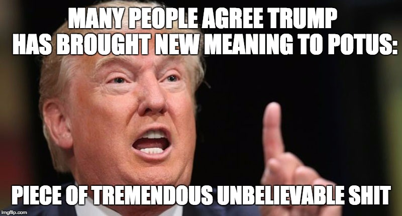 piece of trump | MANY PEOPLE AGREE TRUMP HAS BROUGHT NEW MEANING TO POTUS:; PIECE OF TREMENDOUS UNBELIEVABLE SHIT | image tagged in trump liar,memes,potus,pos,shitpost | made w/ Imgflip meme maker