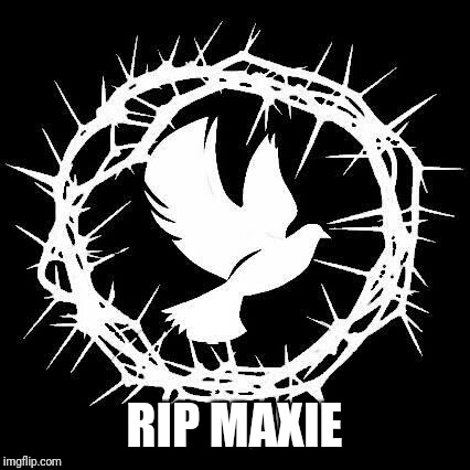 gods creations | RIP MAXIE | image tagged in gods creations | made w/ Imgflip meme maker