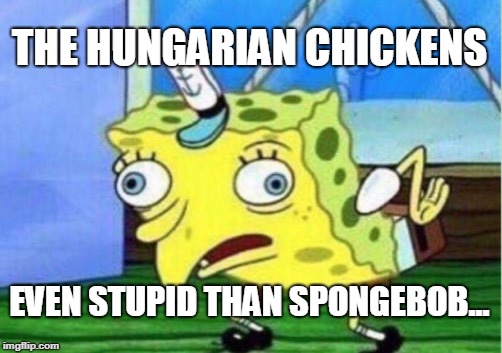 A hungarian chicken | THE HUNGARIAN CHICKENS; EVEN STUPID THAN SPONGEBOB... | image tagged in memes,mocking spongebob | made w/ Imgflip meme maker