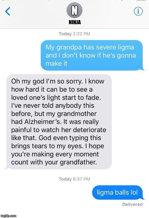 Ligma | N; NINJA | image tagged in balls,ligma,ninja,fortnite,rip drumgun | made w/ Imgflip meme maker