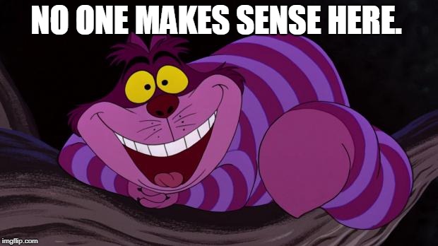 Cheshire Cat | NO ONE MAKES SENSE HERE. | image tagged in cheshire cat | made w/ Imgflip meme maker