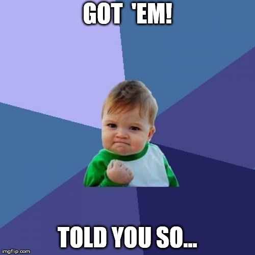 Success Kid Meme | GOT  'EM! TOLD YOU SO... | image tagged in memes,success kid | made w/ Imgflip meme maker