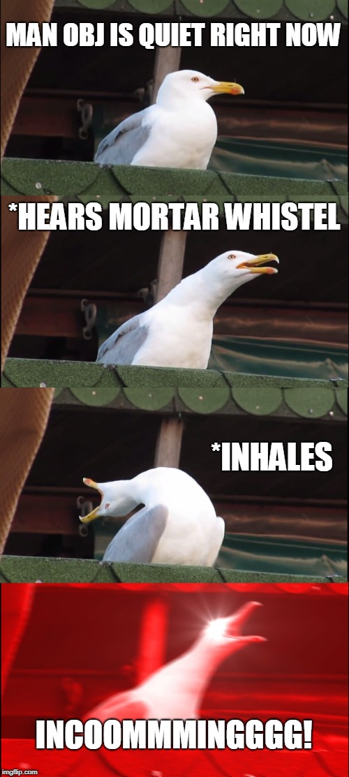 Squad: When your stuck on Flag Defence | MAN OBJ IS QUIET RIGHT NOW; *HEARS MORTAR WHISTEL; *INHALES; INCOOMMMINGGGG! | image tagged in memes,inhaling seagull,squad,defence,funny | made w/ Imgflip meme maker
