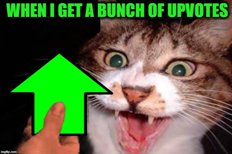 Upvote Week Sept 10-14 a Landon_the_memer and 1forpeace event | WHEN I GET A BUNCH OF UPVOTES | image tagged in funny memes,upvote week,landon_the_memer,1forpeace,cat,happy | made w/ Imgflip meme maker