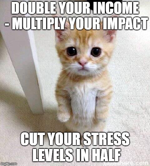 double income | DOUBLE YOUR INCOME - MULTIPLY YOUR IMPACT; CUT YOUR STRESS LEVELS IN HALF | image tagged in memes,cute cat | made w/ Imgflip meme maker