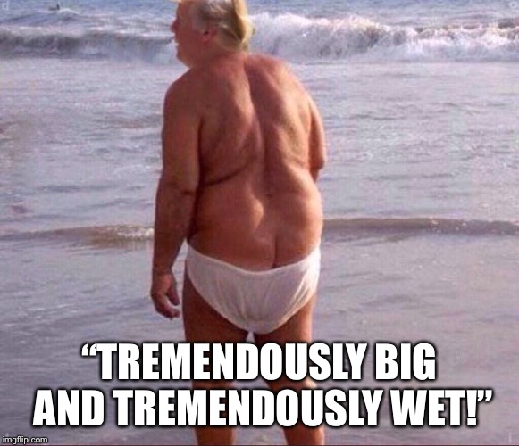 Hurricane trump | “TREMENDOUSLY BIG AND TREMENDOUSLY WET!” | image tagged in tremendously big and tremendously wet,fat trump,donald trump,trump fema,trump hurricane,funny trump meme | made w/ Imgflip meme maker