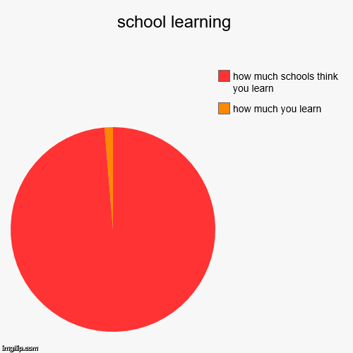 school learning | how much you learn, how much schools think you learn | image tagged in funny,pie charts,school | made w/ Imgflip chart maker