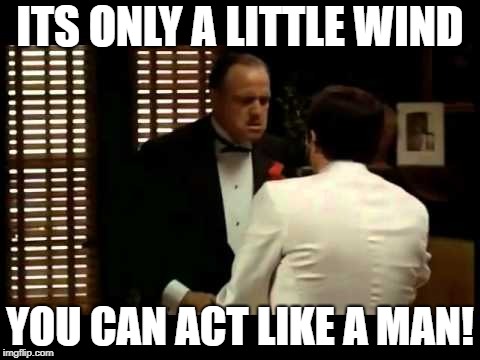 ITS ONLY A LITTLE WIND; YOU CAN ACT LIKE A MAN! | image tagged in godfather,hurricane,florence | made w/ Imgflip meme maker
