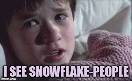 I See Dead People | I SEE SNOWFLAKE-PEOPLE | image tagged in memes,i see dead people | made w/ Imgflip meme maker