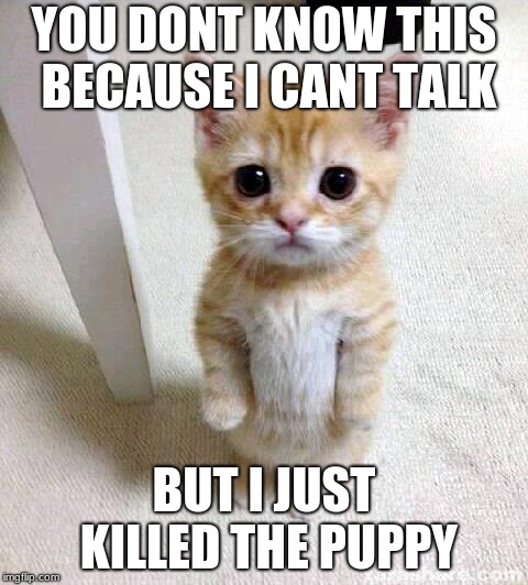 Cute Cat | YOU DONT KNOW THIS BECAUSE I CANT TALK; BUT I JUST KILLED THE PUPPY | image tagged in memes,cute cat | made w/ Imgflip meme maker