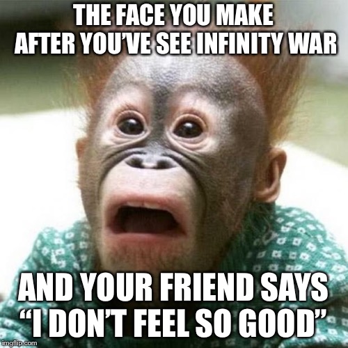 Shocked Monkey | THE FACE YOU MAKE AFTER YOU’VE SEE INFINITY WAR; AND YOUR FRIEND SAYS “I DON’T FEEL SO GOOD” | image tagged in shocked monkey | made w/ Imgflip meme maker