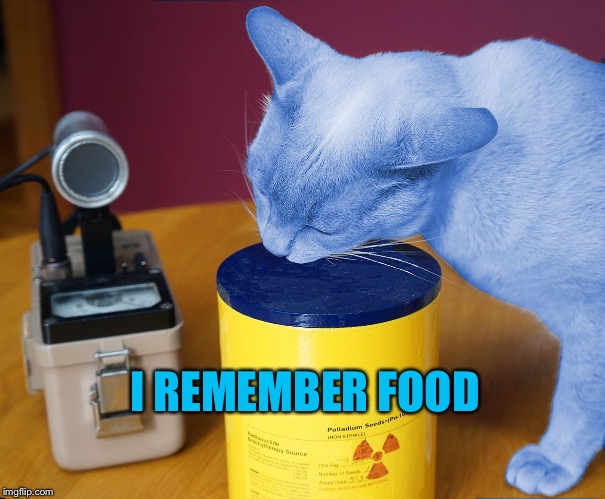 RayCat eating | I REMEMBER FOOD | image tagged in raycat eating | made w/ Imgflip meme maker