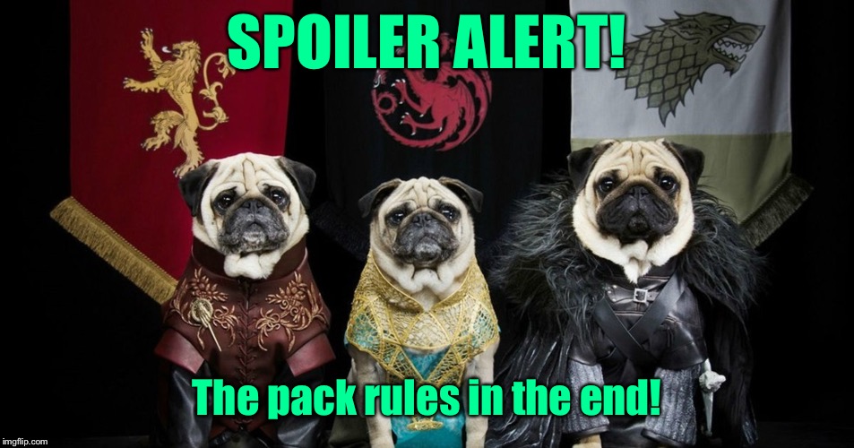 Game of Thrones meets Pug Life | SPOILER ALERT! The pack rules in the end! | image tagged in game of thrones pug,spoiler alert,final episode,winners,funny memes,drsarcasm | made w/ Imgflip meme maker