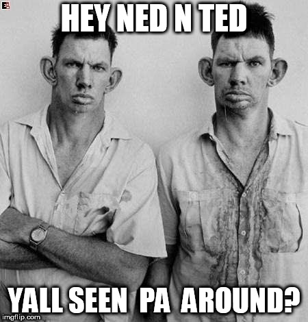 hey you reckon that was a racoon ? | HEY NED N TED; YALL SEEN  PA  AROUND? | image tagged in ned and,ted | made w/ Imgflip meme maker