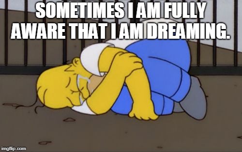 Fetal Position Homer | SOMETIMES I AM FULLY AWARE THAT I AM DREAMING. | image tagged in fetal position homer | made w/ Imgflip meme maker