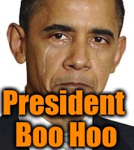 Obama crying | President Boo Hoo | image tagged in obama crying | made w/ Imgflip meme maker