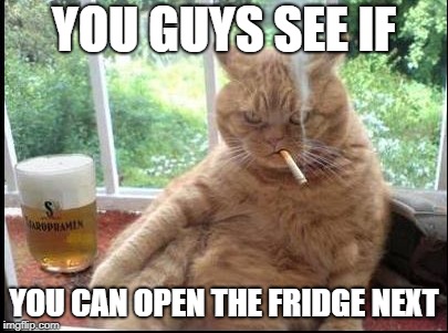 YOU GUYS SEE IF YOU CAN OPEN THE FRIDGE NEXT | made w/ Imgflip meme maker