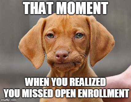 Disappointed Puppy | THAT MOMENT; WHEN YOU REALIZED YOU MISSED OPEN ENROLLMENT | image tagged in disappointed puppy | made w/ Imgflip meme maker