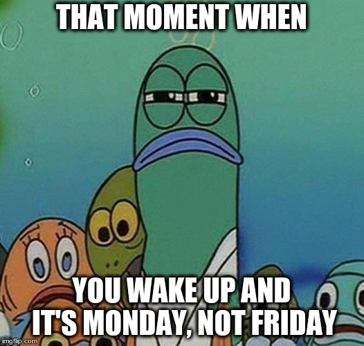 SpongeBob | THAT MOMENT WHEN; YOU WAKE UP AND IT'S MONDAY, NOT FRIDAY | image tagged in spongebob | made w/ Imgflip meme maker