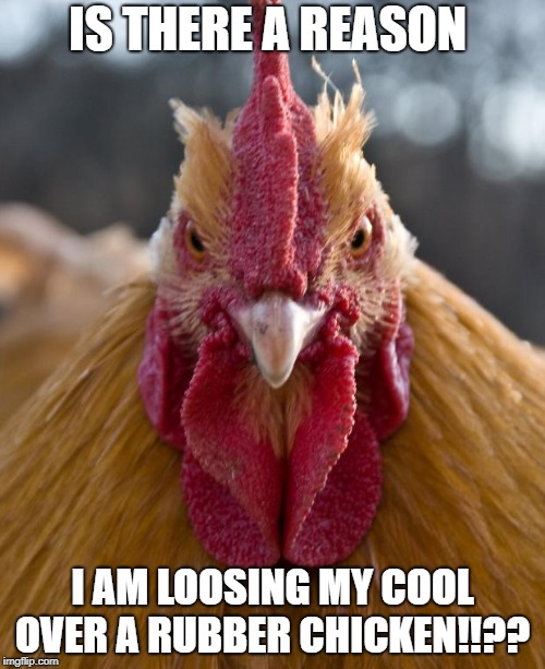 Angry Chicken | IS THERE A REASON; I AM LOOSING MY COOL OVER A RUBBER CHICKEN!!?? | image tagged in angry chicken | made w/ Imgflip meme maker