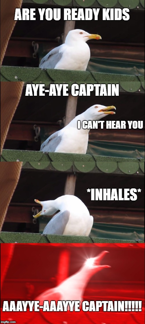 Inhaling Seagull | ARE YOU READY KIDS; AYE-AYE CAPTAIN; I CAN'T HEAR YOU; *INHALES*; AAAYYE-AAAYYE CAPTAIN!!!!! | image tagged in memes,inhaling seagull | made w/ Imgflip meme maker