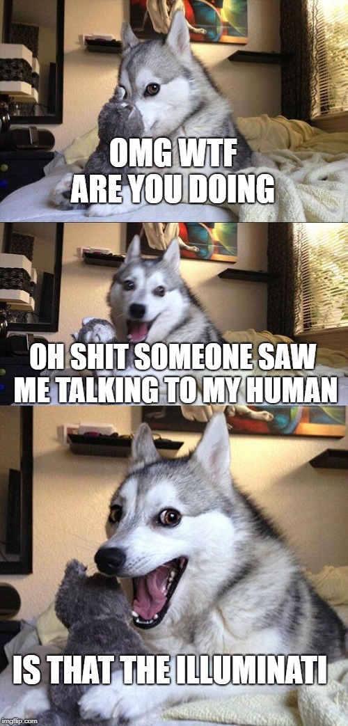 Bad Pun Dog | OMG WTF ARE YOU DOING; OH SHIT SOMEONE SAW ME TALKING TO MY HUMAN; IS THAT THE ILLUMINATI | image tagged in memes,bad pun dog | made w/ Imgflip meme maker