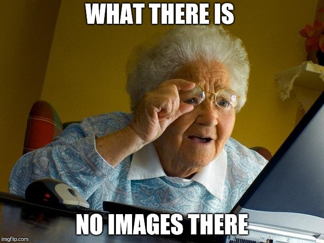 Grandma Finds The Internet Meme | WHAT THERE IS NO IMAGES THERE | image tagged in memes,grandma finds the internet | made w/ Imgflip meme maker