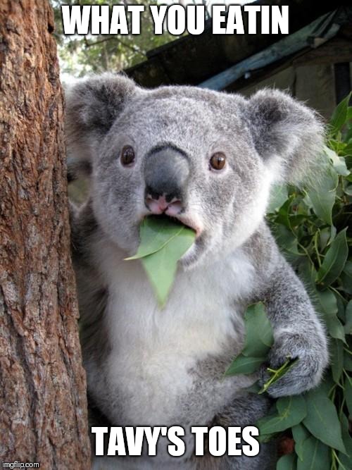 Surprised Koala | WHAT YOU EATIN; TAVY'S TOES | image tagged in memes,surprised koala | made w/ Imgflip meme maker