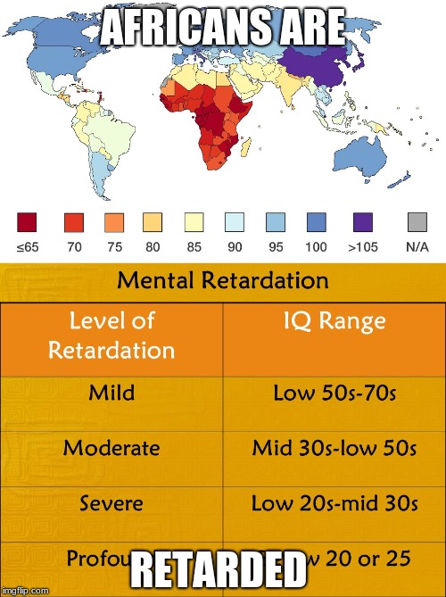 African Iq is in the retarded range | AFRICANS ARE; RETARDED | image tagged in lol,africa,iq,retard,lmao,rofl | made w/ Imgflip meme maker