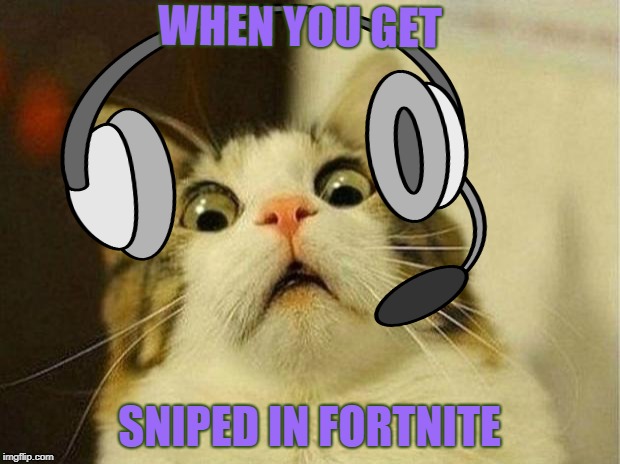 The common reality of most noob gamers | WHEN YOU GET; SNIPED IN FORTNITE | image tagged in pc gaming,online gaming,surprised cat,fortnite meme,catsniper,sniper cat | made w/ Imgflip meme maker