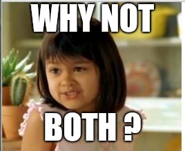 Why not both | WHY NOT BOTH ? | image tagged in why not both | made w/ Imgflip meme maker