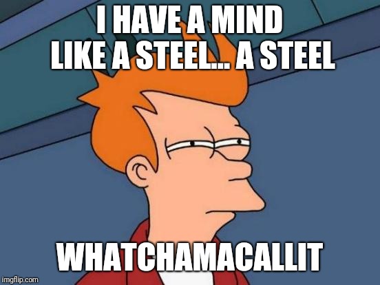 Futurama Fry Meme | I HAVE A MIND LIKE A STEEL... A STEEL WHATCHAMACALLIT | image tagged in memes,futurama fry | made w/ Imgflip meme maker