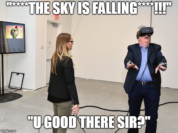 Virtual Reality  | "****THE SKY IS FALLING****!!!"; "U GOOD THERE SIR?" | image tagged in virtual reality | made w/ Imgflip meme maker