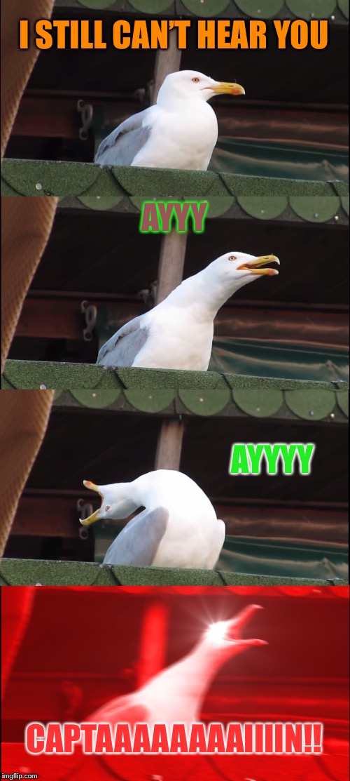 Inhaling Seagull Meme | I STILL CAN’T HEAR YOU AYYY AYYYY CAPTAAAAAAAAIIIIN!! | image tagged in memes,inhaling seagull | made w/ Imgflip meme maker