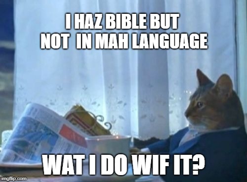 LOLcat Bible translation needed | I HAZ BIBLE BUT NOT 
IN MAH LANGUAGE; WAT I DO WIF IT? | image tagged in memes,i should buy a boat cat,bible translation | made w/ Imgflip meme maker