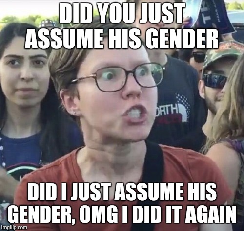 Triggered feminist | DID YOU JUST ASSUME HIS GENDER; DID I JUST ASSUME HIS GENDER, OMG I DID IT AGAIN | image tagged in triggered feminist | made w/ Imgflip meme maker