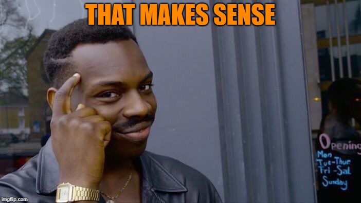 Roll Safe Think About It Meme | THAT MAKES SENSE | image tagged in memes,roll safe think about it | made w/ Imgflip meme maker