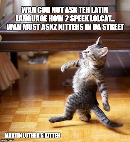 Martin Luther's cat |  WAN CUD NOT ASK TEH LATIN LANGUAGE HOW 2 SPEEK LOLCAT... WAN MUST ASKZ KITTEHS IN DA STREET; MARTIN LUTHER'S KITTEH | image tagged in cat walking like a boss,bible translation | made w/ Imgflip meme maker