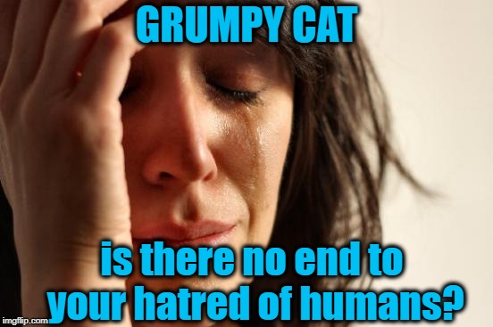 First World Problems Meme | GRUMPY CAT is there no end to your hatred of humans? | image tagged in memes,first world problems | made w/ Imgflip meme maker