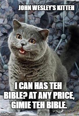 John Wesley's cat | JOHN WESLEY'S KITTEH; I CAN HAS TEH BIBLE? AT ANY PRICE, GIMIE TEH BIBLE. | image tagged in i can has cheezburger cat,bible translation,bible | made w/ Imgflip meme maker