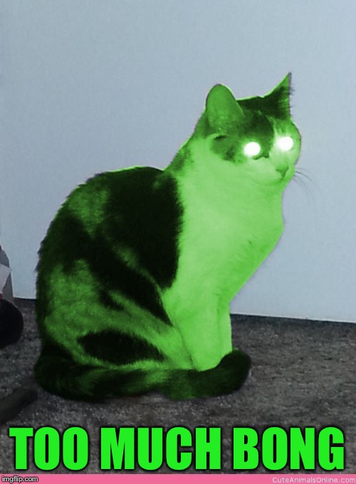 Hypno Raycat | TOO MUCH BONG | image tagged in hypno raycat | made w/ Imgflip meme maker