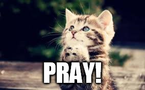 prayer | PRAY! | image tagged in prayer | made w/ Imgflip meme maker