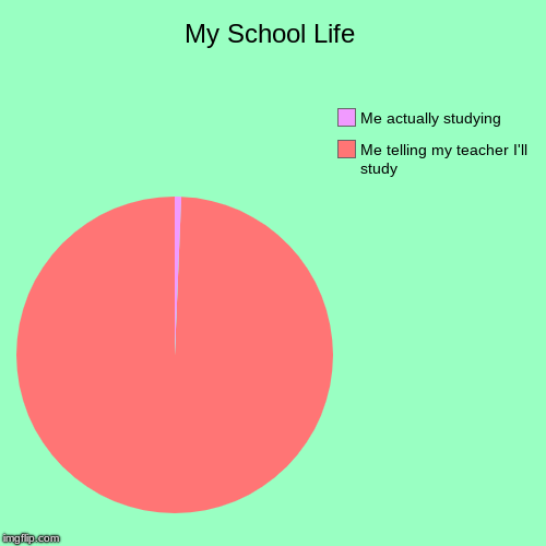 My School Life | Me telling my teacher I'll study, Me actually studying | image tagged in funny,pie charts | made w/ Imgflip chart maker