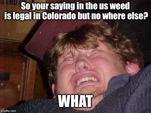 WTF | So your saying in the us weed is legal in Colorado but no where else? WHAT | image tagged in memes,wtf | made w/ Imgflip meme maker