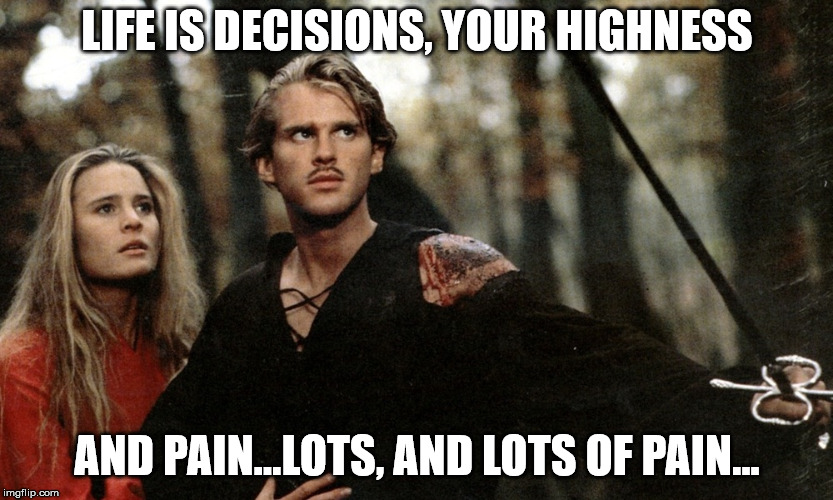 Wesley and Princess Buttercup face fire swamp The Princess Bride | LIFE IS DECISIONS, YOUR HIGHNESS AND PAIN...LOTS, AND LOTS OF PAIN... | image tagged in wesley and princess buttercup face fire swamp the princess bride | made w/ Imgflip meme maker