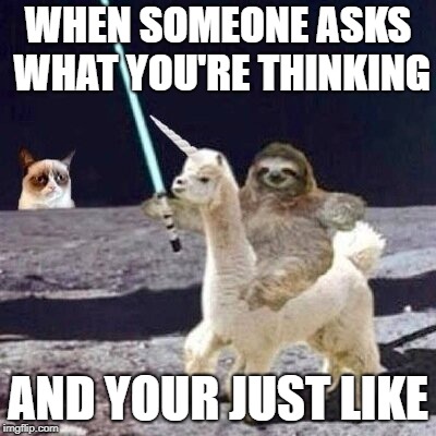 WHEN SOMEONE ASKS WHAT YOU'RE THINKING; AND YOUR JUST LIKE | image tagged in wierd sloths | made w/ Imgflip meme maker