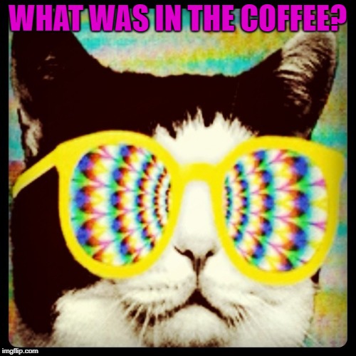 WHAT WAS IN THE COFFEE? | made w/ Imgflip meme maker