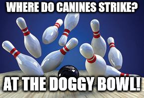 Bowling Ball | WHERE DO CANINES STRIKE? AT THE DOGGY BOWL! | image tagged in bowling ball | made w/ Imgflip meme maker