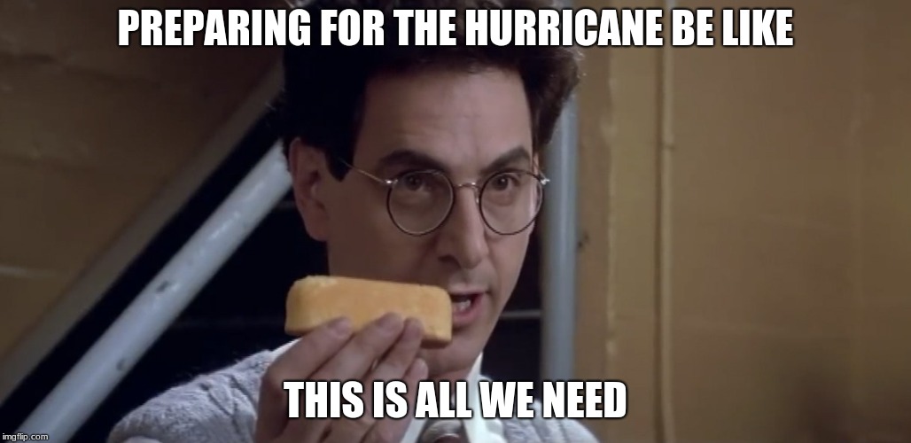 Egon Twinkie | PREPARING FOR THE HURRICANE BE LIKE; THIS IS ALL WE NEED | image tagged in egon twinkie | made w/ Imgflip meme maker