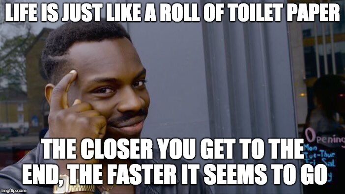 Words of wisom | LIFE IS JUST LIKE A ROLL OF TOILET PAPER; THE CLOSER YOU GET TO THE END, THE FASTER IT SEEMS TO GO | image tagged in memes,roll safe think about it | made w/ Imgflip meme maker